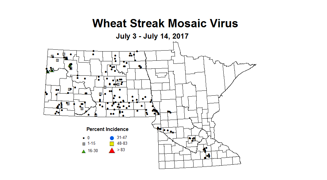 wheat wsmvi 7 3 7 14 2017
