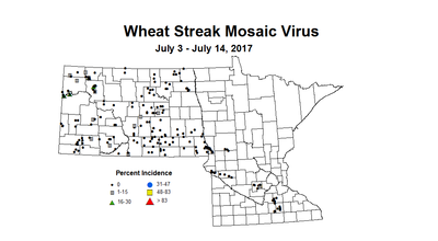 wheat wsmvi 7 3 7 14 2017