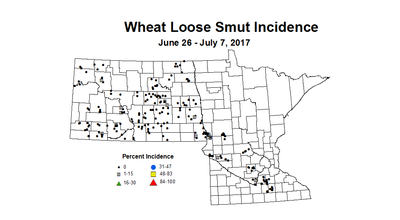wheat LSI 6 26 7 7 2017