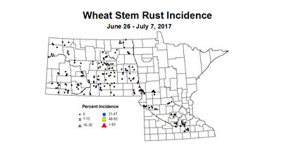 wheat stmRI 6 26 7 7 2017