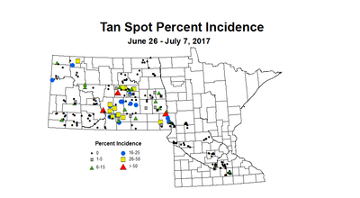 wheat TSI 6 26 7 7 2017