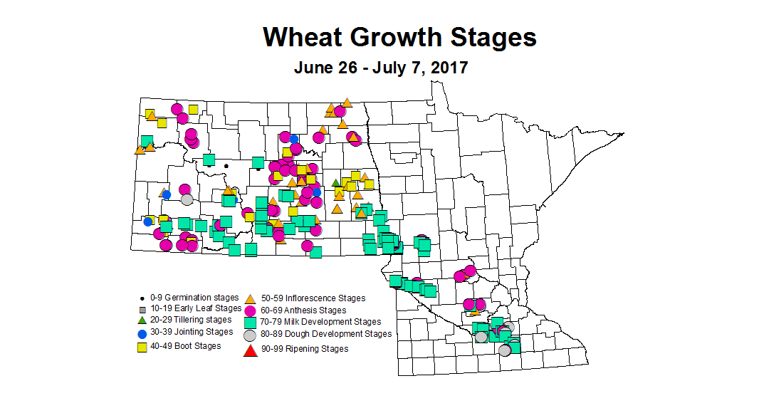 wheat zgs 6 26 7 7 2017