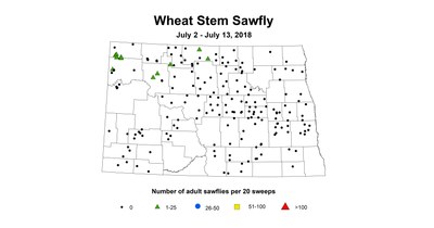 July2 July13 wheat stem sawfly