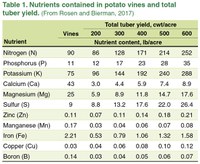 Effect of potato tubers left in the field on the 2020 crop