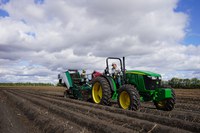 North Dakota Fresh Market Potato Cultivar/Selection Trial Results for 2019