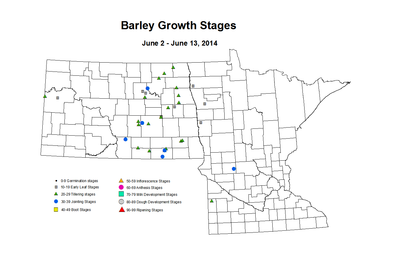 6 2 6 13 Barley GrowthStages ZGS
