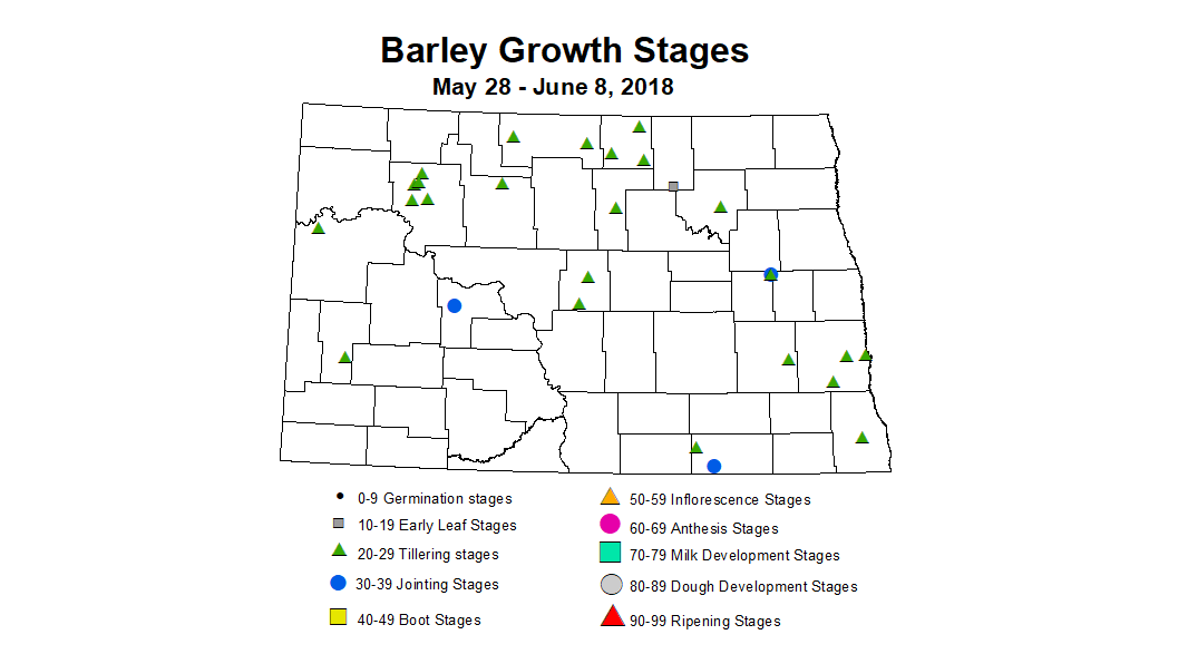 barley zgs 5.28 6.8
