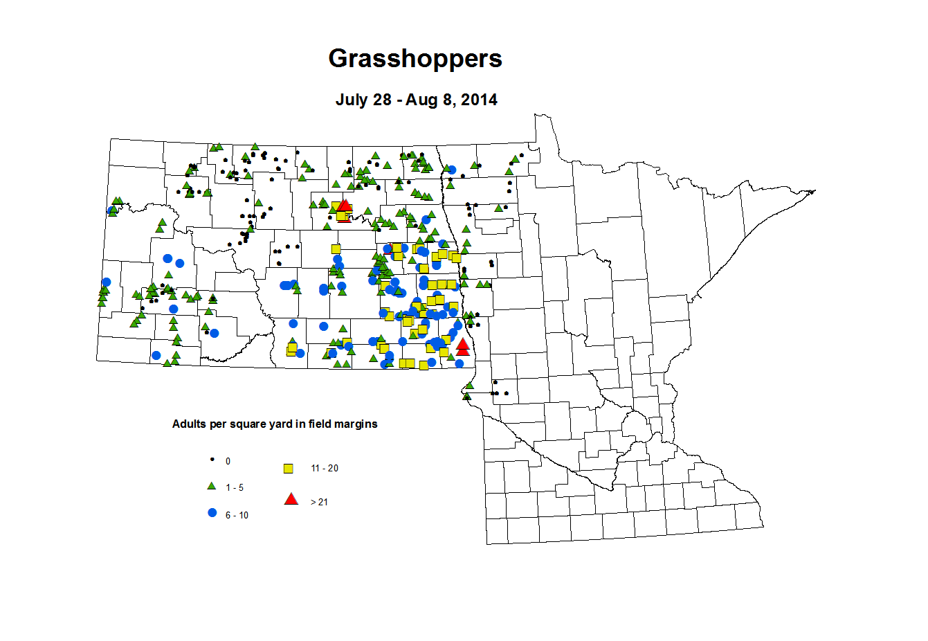 7 28 8 8 Grasshopper Adults