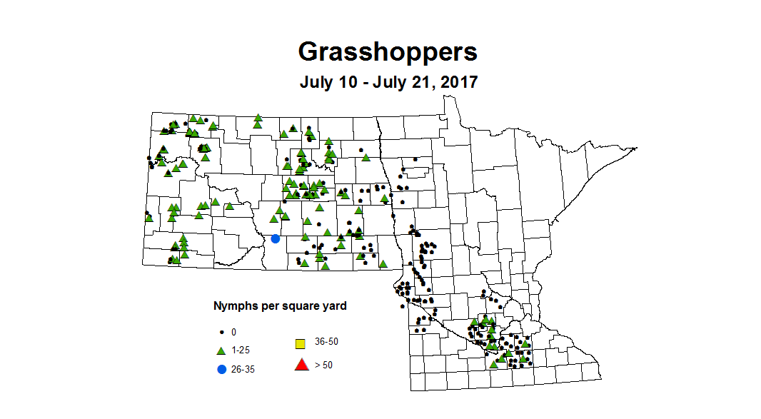 GH nymphs 7 10 7 21 2017