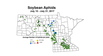 soybean avgAphids 7 10 7 21 2017