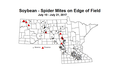 soybean mitesEdge 7 10 7 21 2017