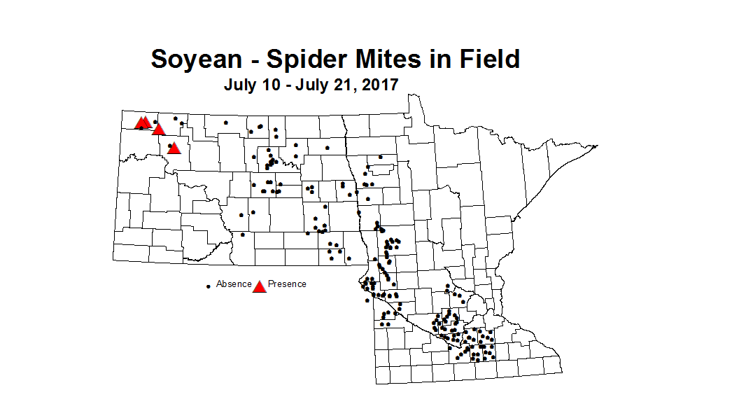 soybean mitesField 7 10 7 21 2017