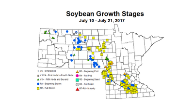 soybean zgs 7 10 7 21 2017
