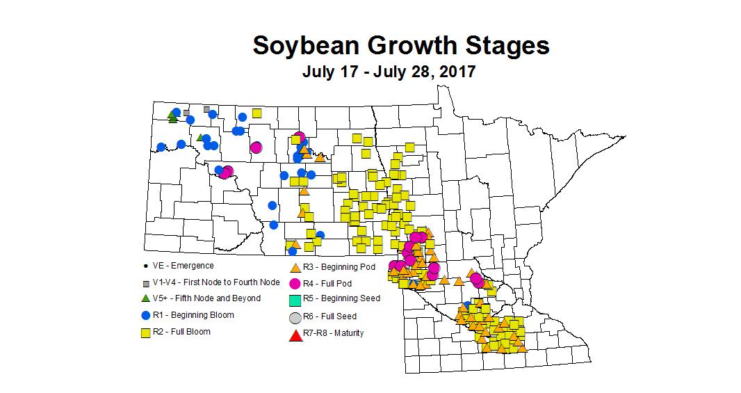soybean zgS 7 17 7 28 2017