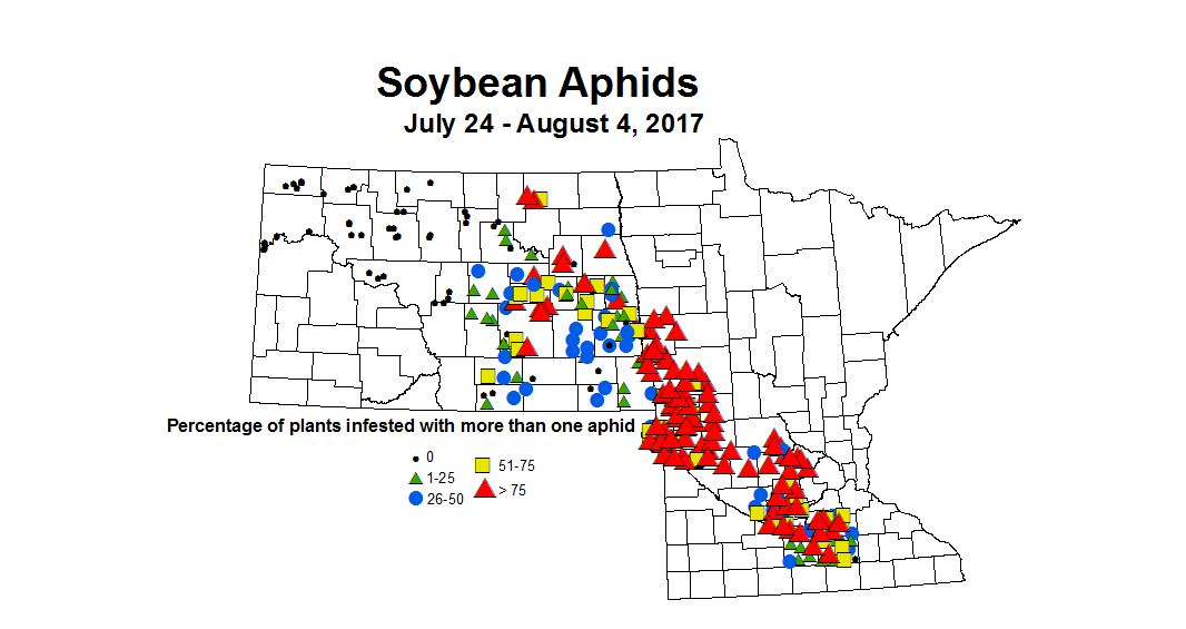 soybean Aphid 7 24 8 4 2017