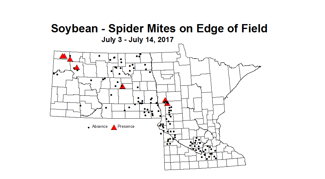 soybean mitesEdge 7 3 7 14 2017