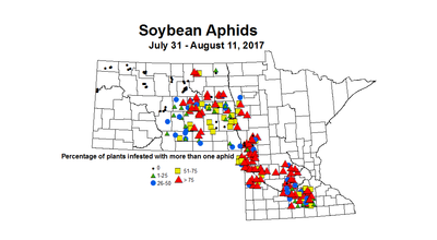 soybean aphid 7 31 8 11 2017