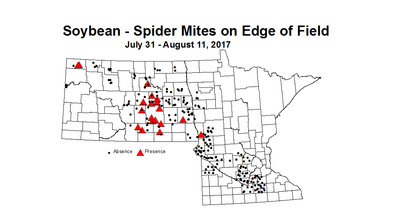 soybean mitesEdge 7 31 8 11 2017