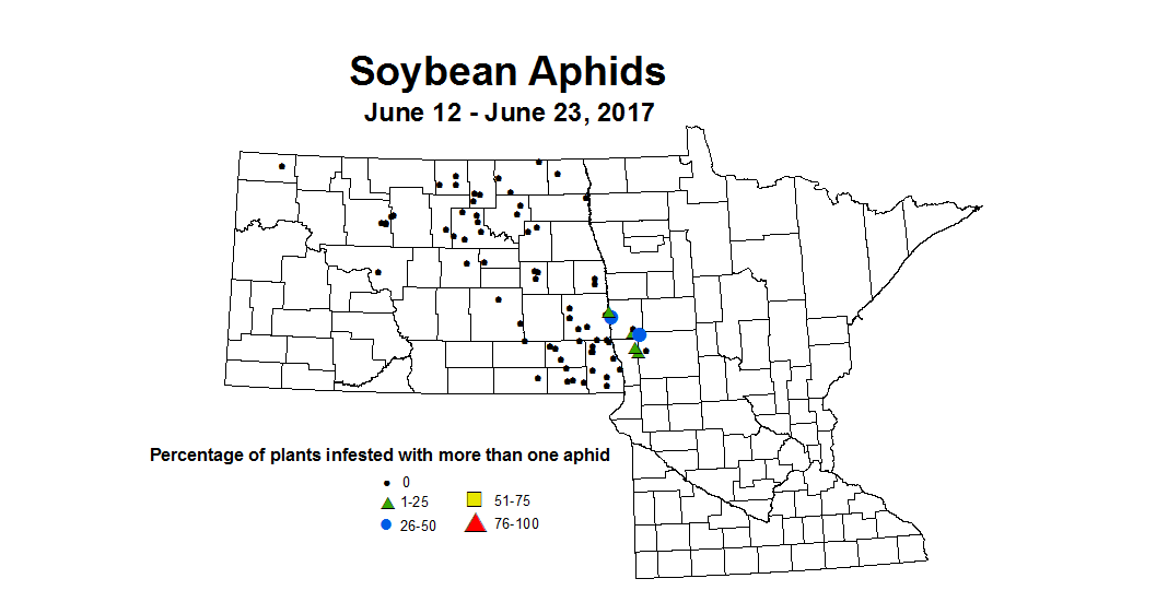 soybean AphidsINC 2017 6 12 6 23
