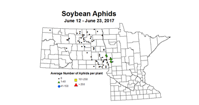 soybean avgAphids 2017 6 12 6 23