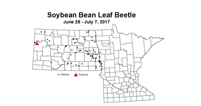 Soybean BlbDef 6 26 7 7 2017