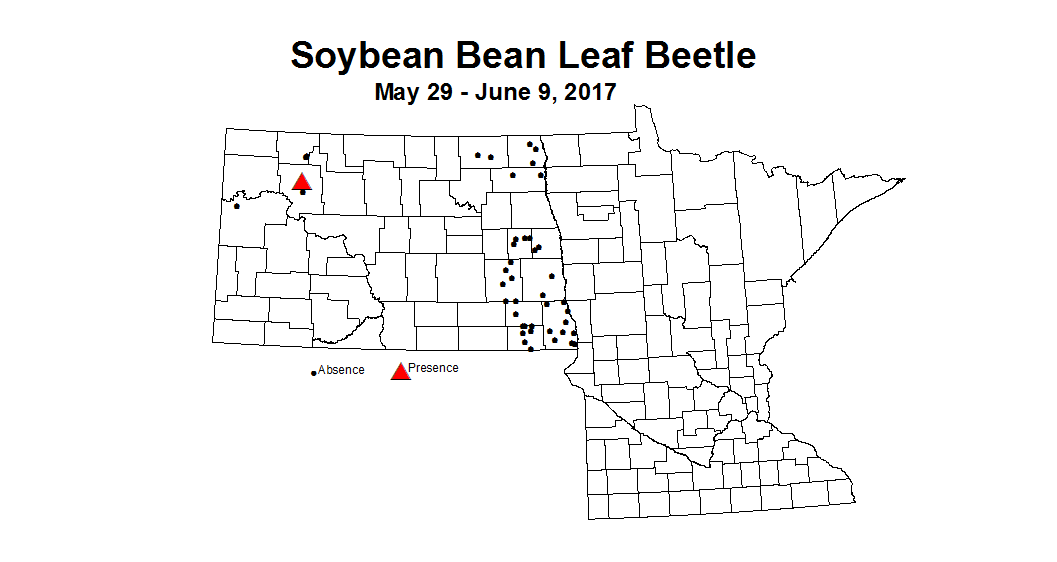 soybean blb def 5 29 6 9 2017