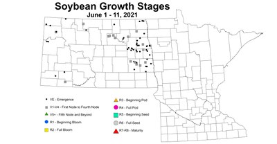 soybeanGrowthStages6.1 6.11