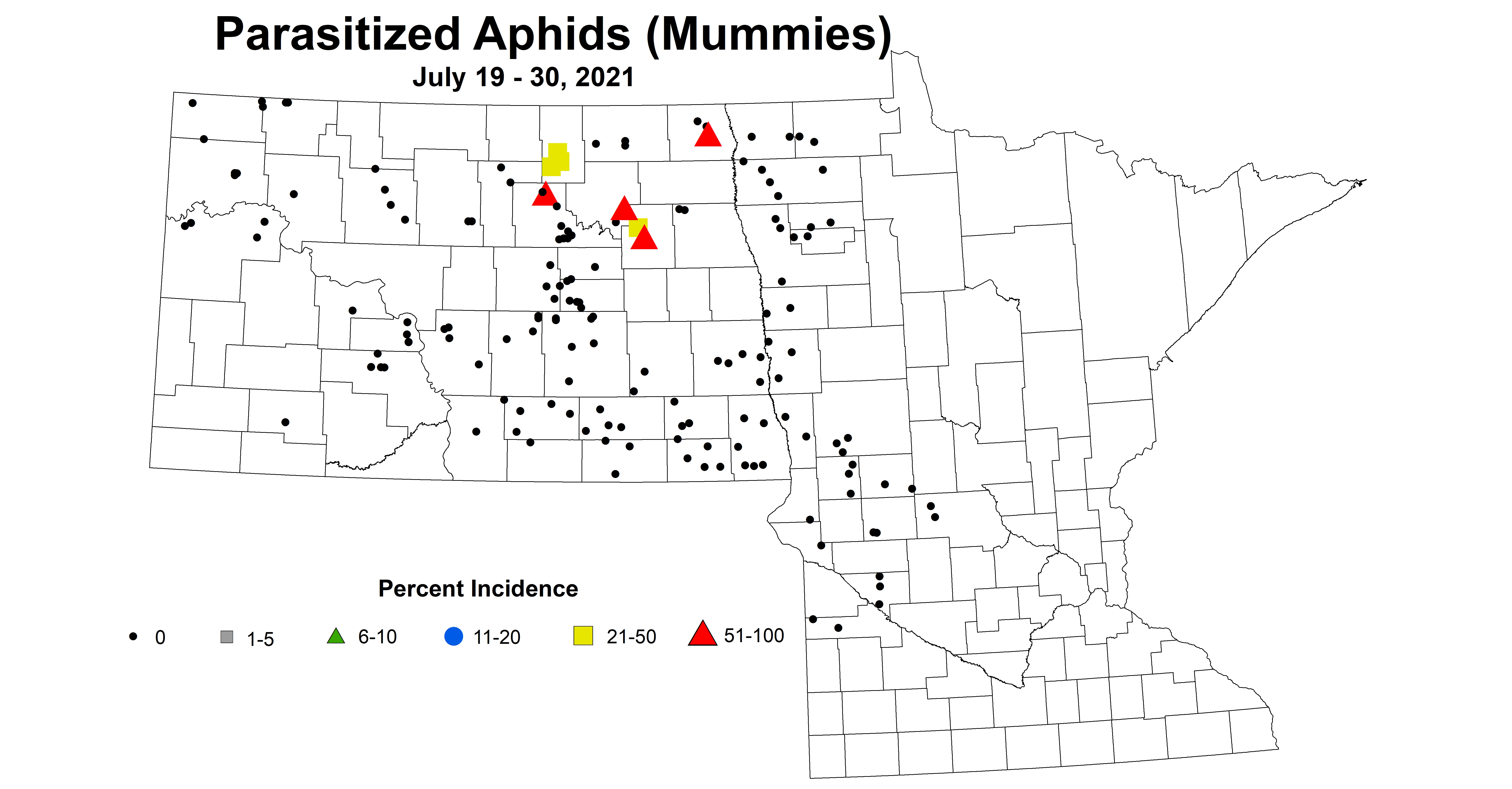 aphidMummy