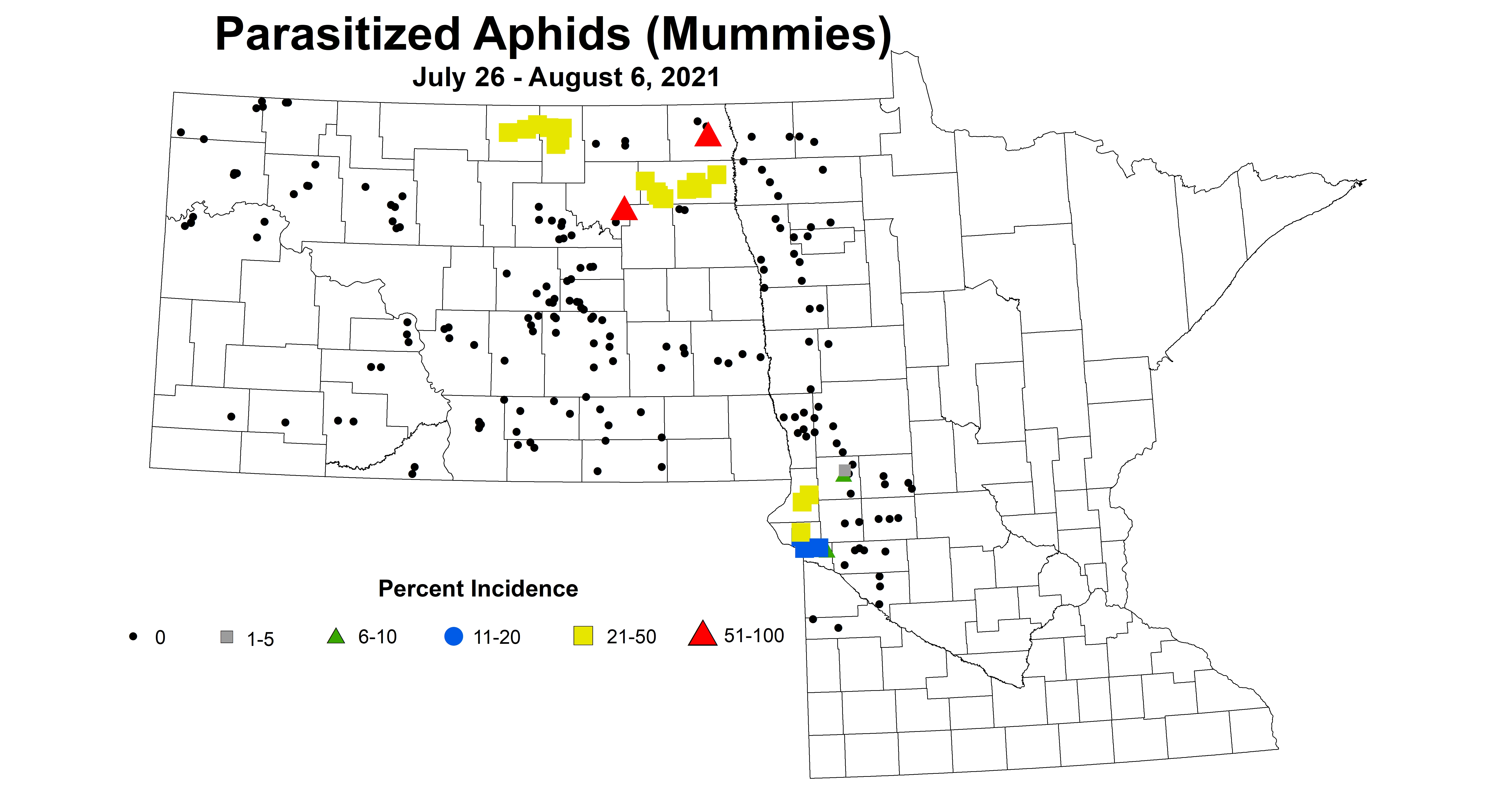 aphidMum