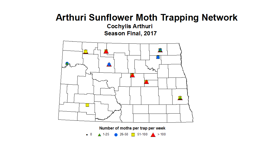 sunflowerInsectTrap arthuri season 2017