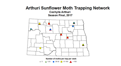 sunflowerInsectTrap arthuri season 2017