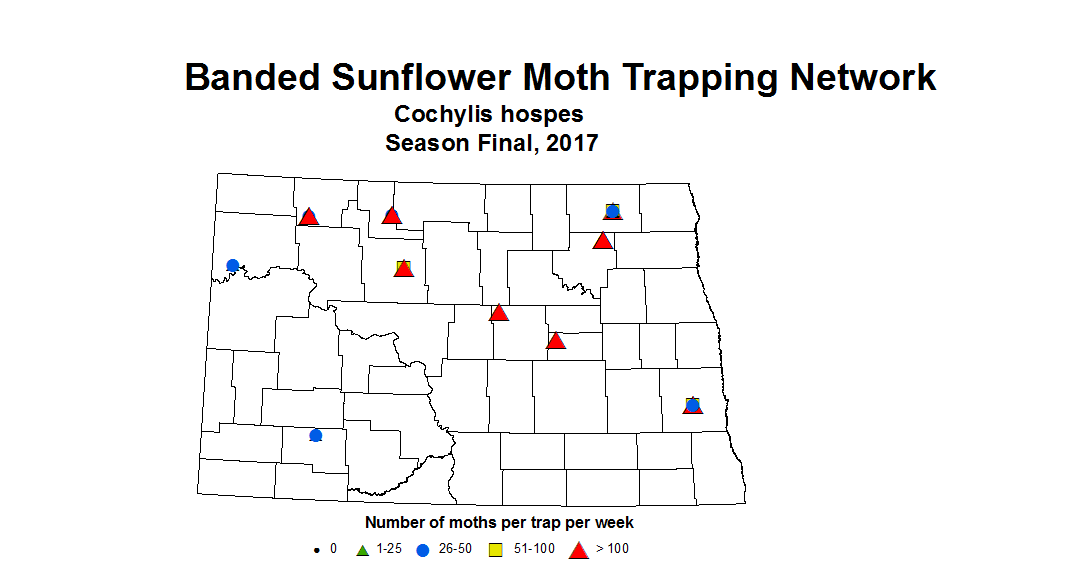 sunflowerInsectTrap bsMoth season 2017