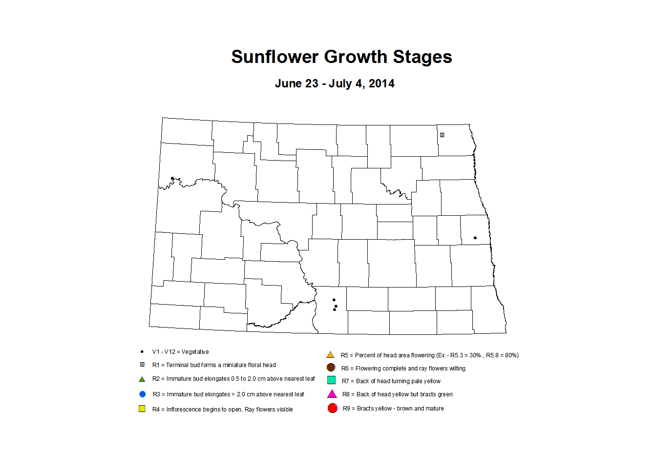 6 23 7 4 Sunflower ZGS