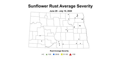 rust severity
