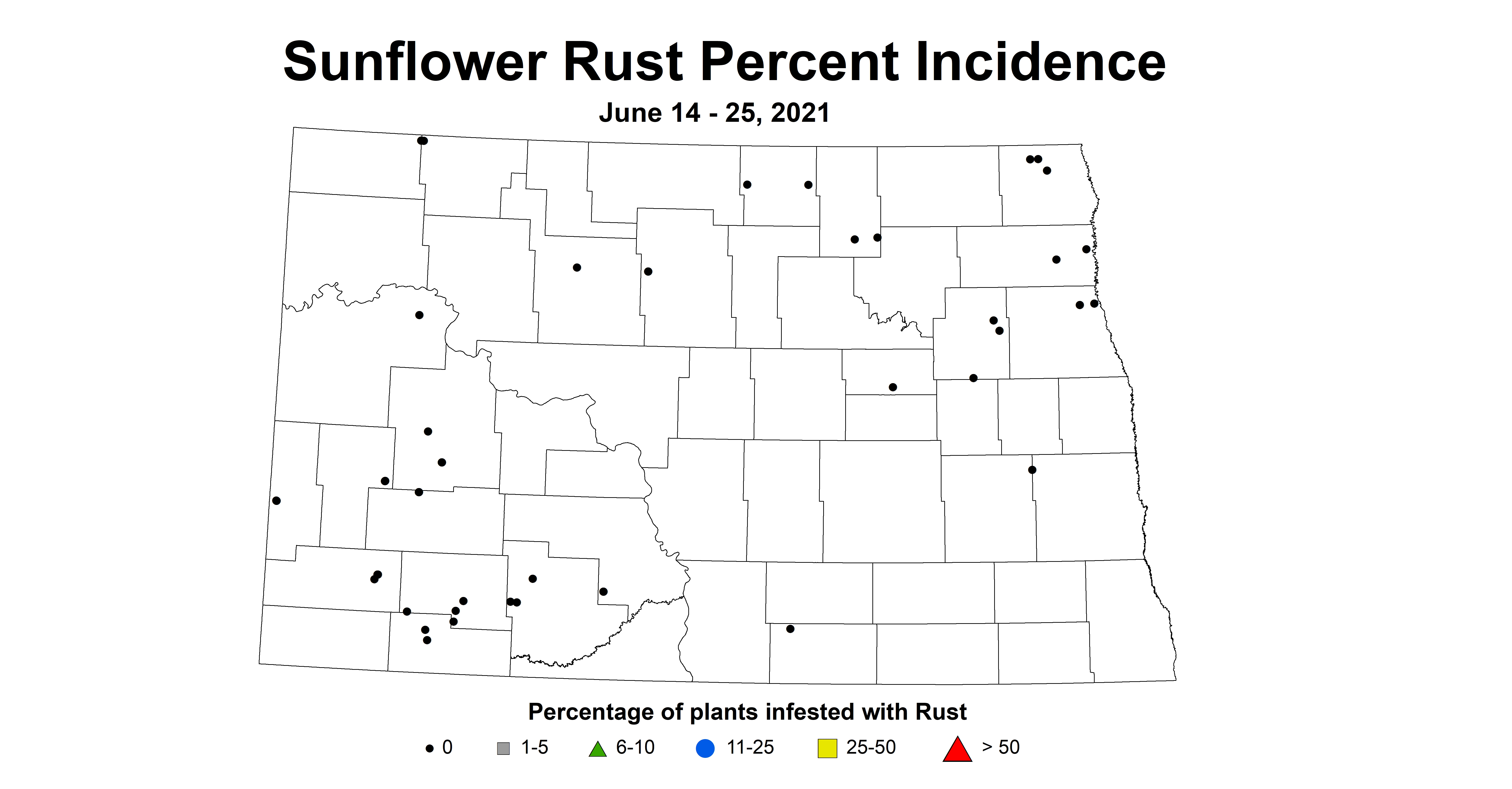 sunflowerRustIncidence 6.14 6.25