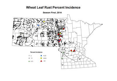 2014 Season Final Wheat LR Inc