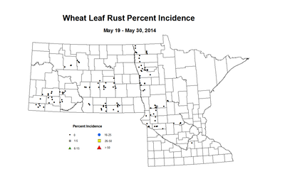 5 19 5 30 Wheat LR Inc