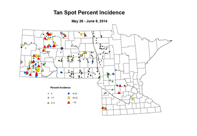 5 26 6 6 Wheat TS Inc