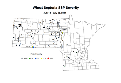 7 14 7 25 Wheat SSP Sev