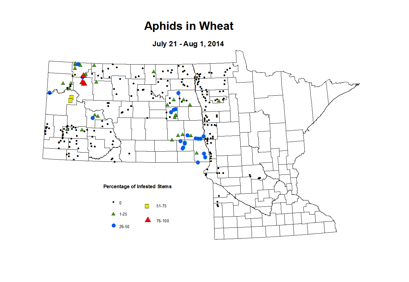 7 21 8 1 Wheat Aphid Tillers
