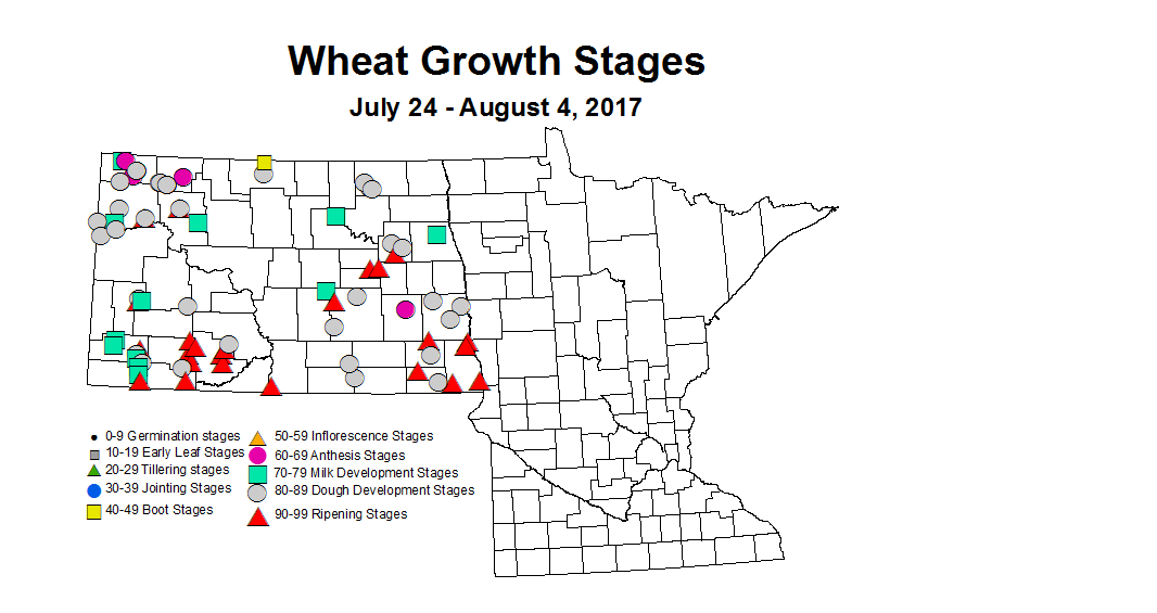 wheat zgs 7 24 8 4 2017