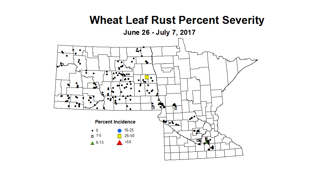 wheat LRSV 6 26 7 7 2017