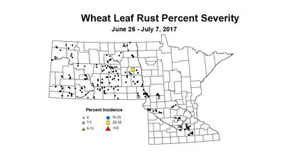 wheat LRSV 6 26 7 7 2017