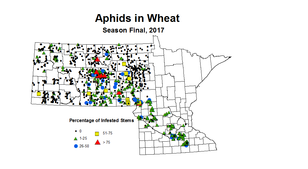 aphid seasonWheat2017