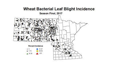 BLBI seasonWheat2017