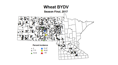 bydvi seasonWheat2017