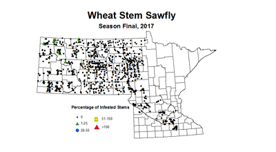 sawfly seasonWheat2017