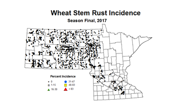 stemRustIncidence seasonWheat2017