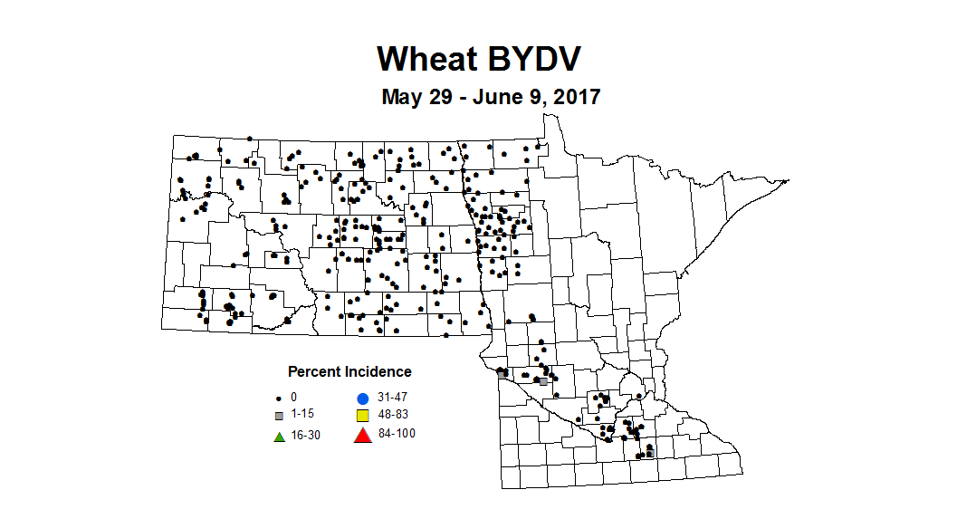 wheat bydvi 5 29 6 9 2017