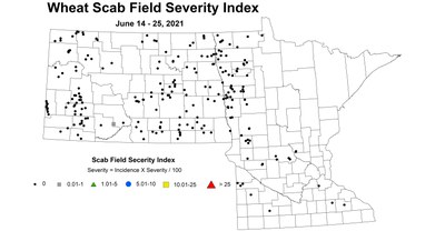 wheatScabFieldSeverityIndex 6.14 6.25